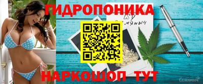 индика Малгобек