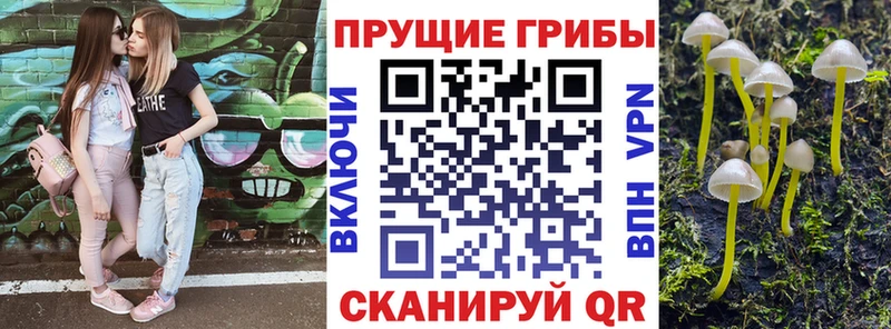 Галлюциногенные грибы прущие грибы  Зеленодольск 