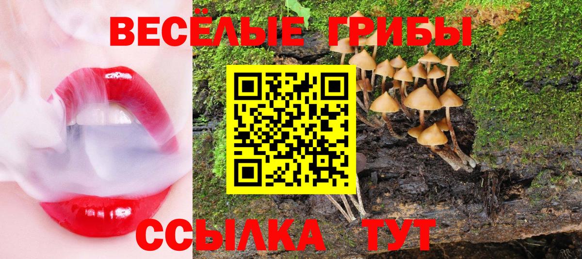 Зеленодольск  Галлюциногенные грибы мицелий  Вход с VPN 